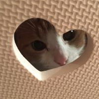 りおのすけ 会員画像