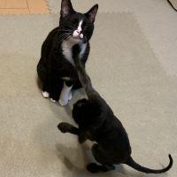 やましたた 会員画像