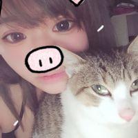 ねこくん。 会員画像