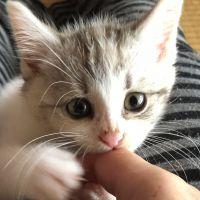 ○きなこ○ 会員画像