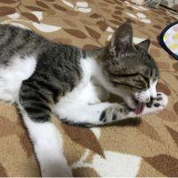 会員画像