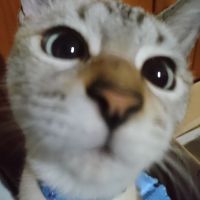 アキトモ 会員画像