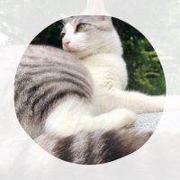 ゆいんご 会員画像