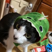 はまね 会員画像