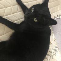ジェンちゃん 会員画像