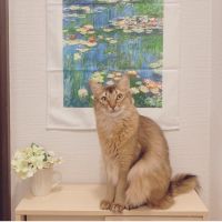 杉丸さん