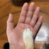 ろーず 会員画像