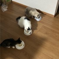 つんく 会員画像