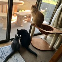 ともぶー 会員画像