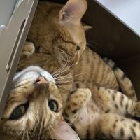 たかぽこ23 会員画像