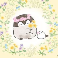 ばななこ 会員画像