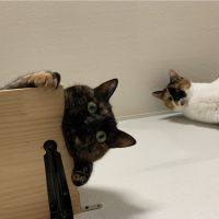 みぃ〜こちゃんさん