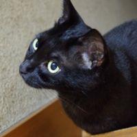 komatsumath 会員画像