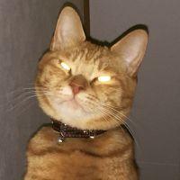 taka9681 会員画像