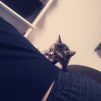 しゅうへいへい 会員画像