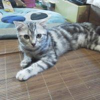 じろろ 会員画像