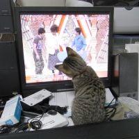 やまきよ 会員画像