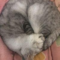 黒白 会員画像