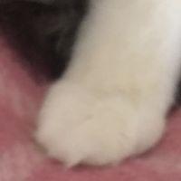 u32 会員画像