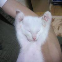 whitebear528 会員画像