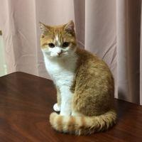 りこさわ 会員画像