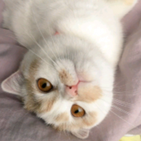山の里のマル 会員画像