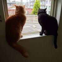 会員画像