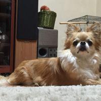 会員画像