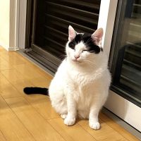 LOVEはちこさん
