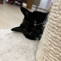 nonko3さん