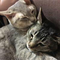 会員画像