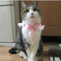 winchanママ 会員画像