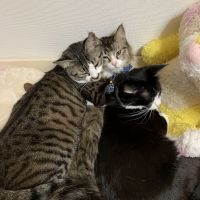 凜0 会員画像