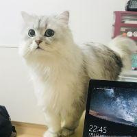 会員画像
