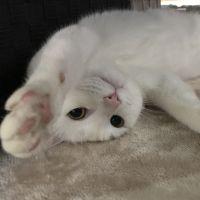 会員画像