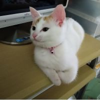 くるみるく1002 会員画像
