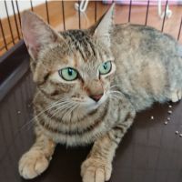 らりるん 会員画像