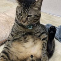 瓜ちょんぴ 会員画像