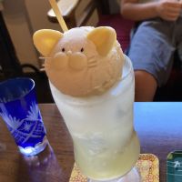 会員画像