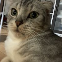 なったろ 会員画像
