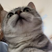 れもんんさん