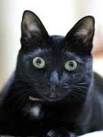 くうまつ 会員画像