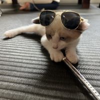 優雄パパ 会員画像