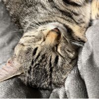 TOMOHIiiii 会員画像