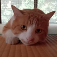 チャチャマル0504 会員画像