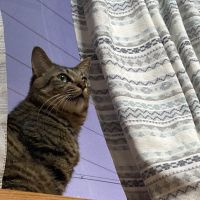 さや3さん