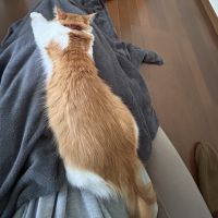 K O T Oさん