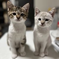 ねこなり63さん