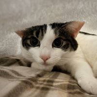 おもち　さん