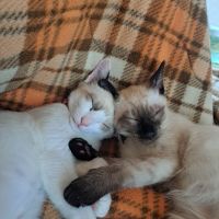 ルキラさん
